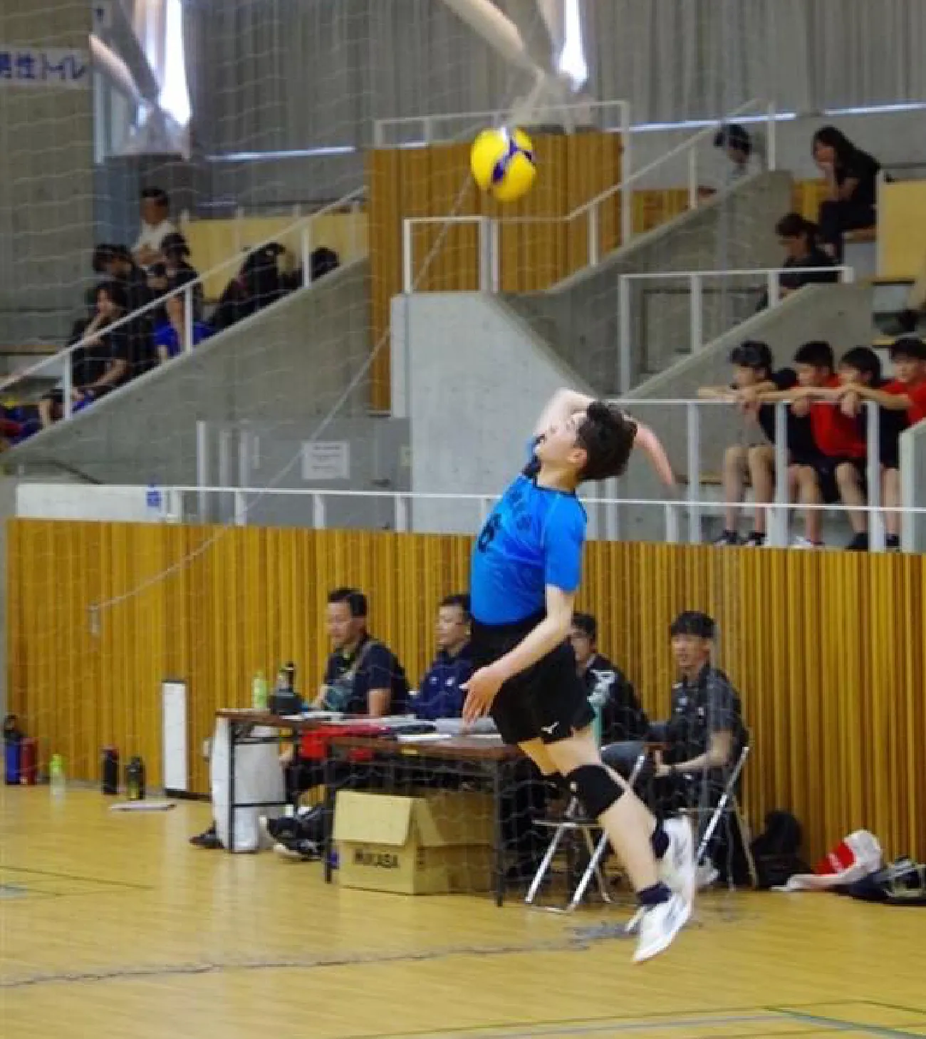 バレーボール部の部員がジャンプしてスパイクを打っている様子